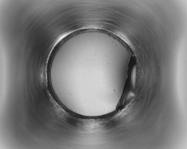 X0000087060980200705021213