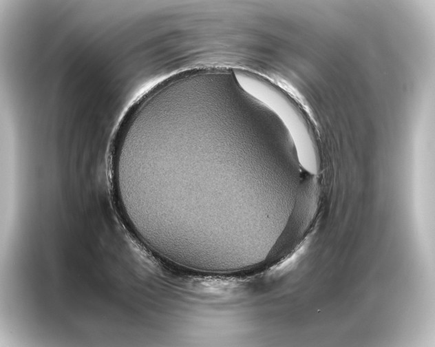 X0000087060981200705021213