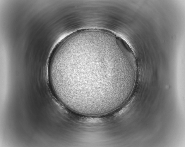 X0000087060982200705021213