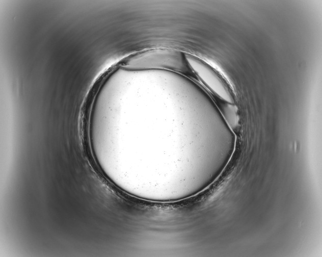 X0000087060983200705021213