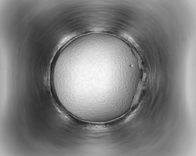 X0000087060986200705021213