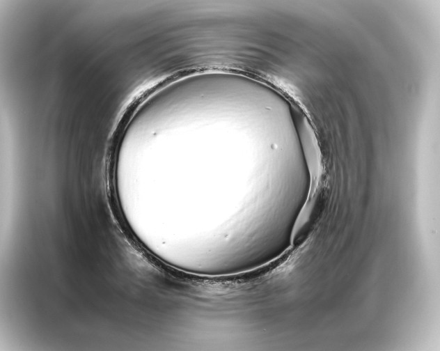 X0000087060987200705021213