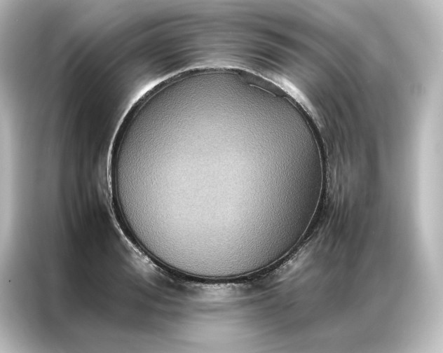 X0000087060988200705021213