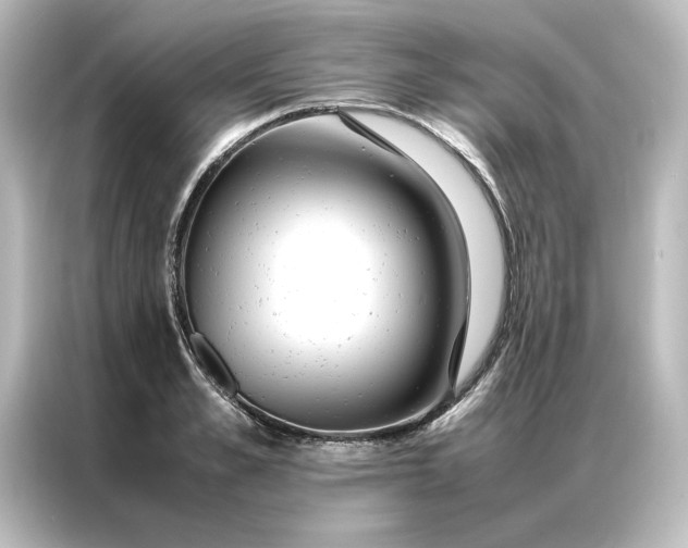 X0000087060989200705021213