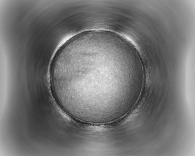 X0000087060990200705021213