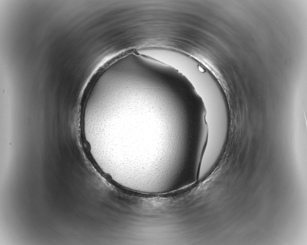 X0000087060992200705021213