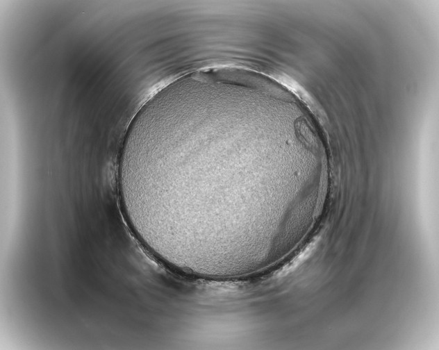 X0000087060993200705021213