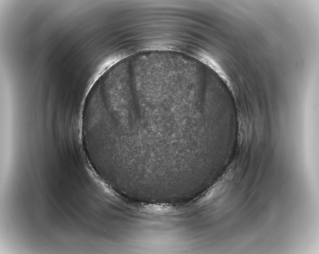 X0000087060994200705021213