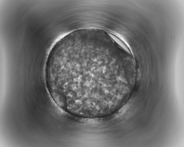 X0000087060995200705021213