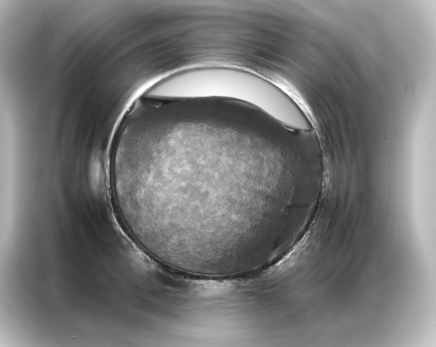 X0000087060996200705021213