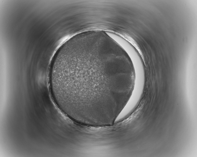 X0000087060997200705021213