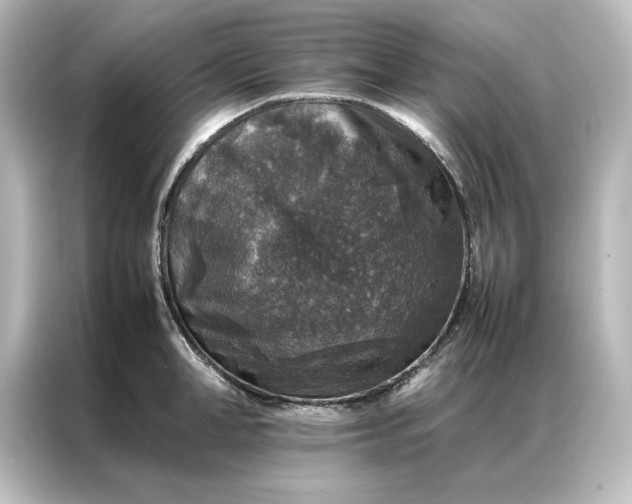 X0000087060998200705021213