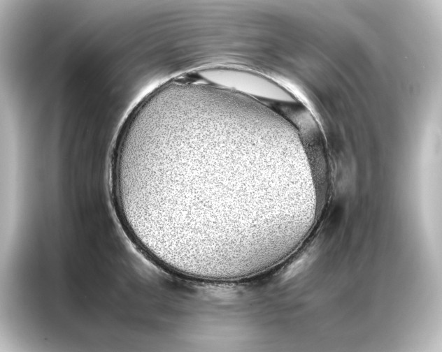 X0000087060999200705021213