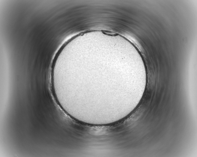 X0000087061000200705021213