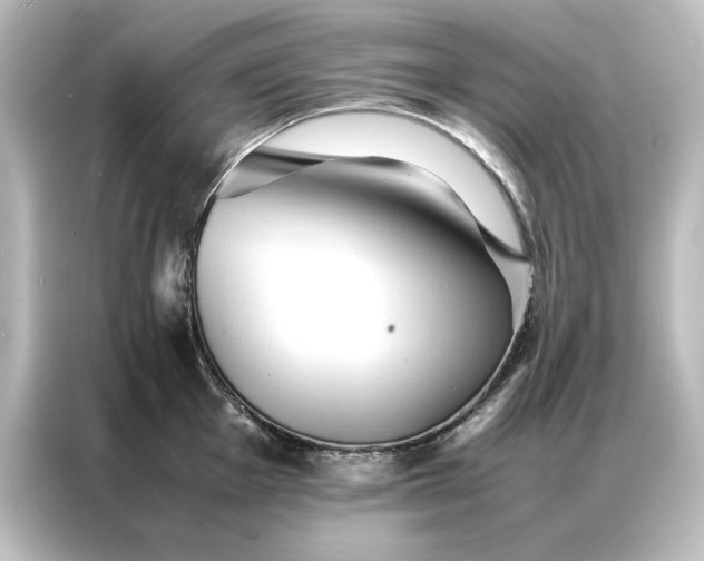 X0000087061001200705021213