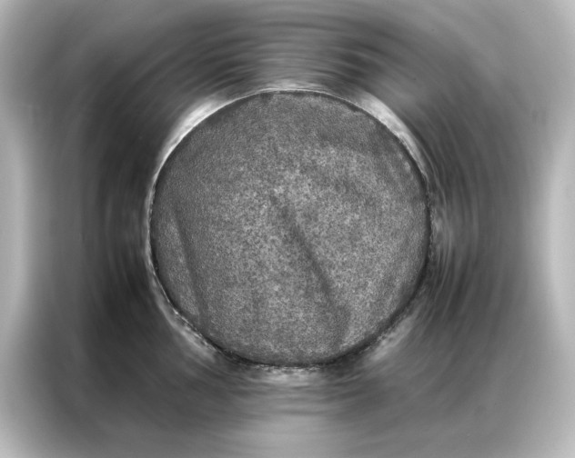 X0000087061002200705021213