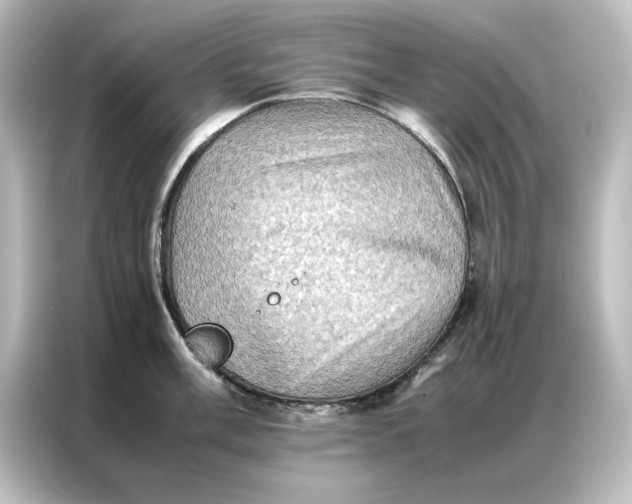 X0000087061003200705021213