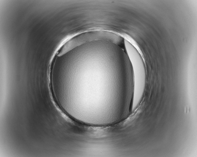 X0000087061005200705021213