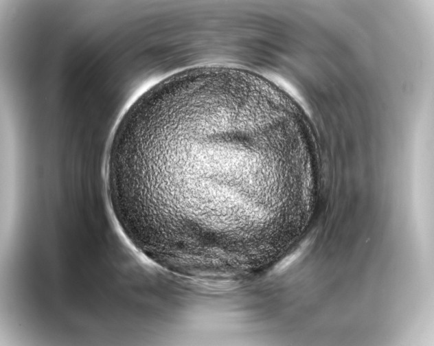 X0000087061007200705021213