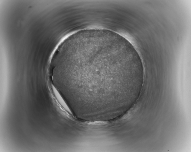 X0000087061008200705021213