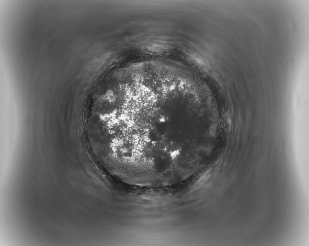 X0000087061009200705021212