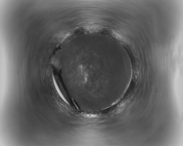 X0000087061010200705021212