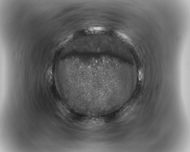 X0000087061011200705021212