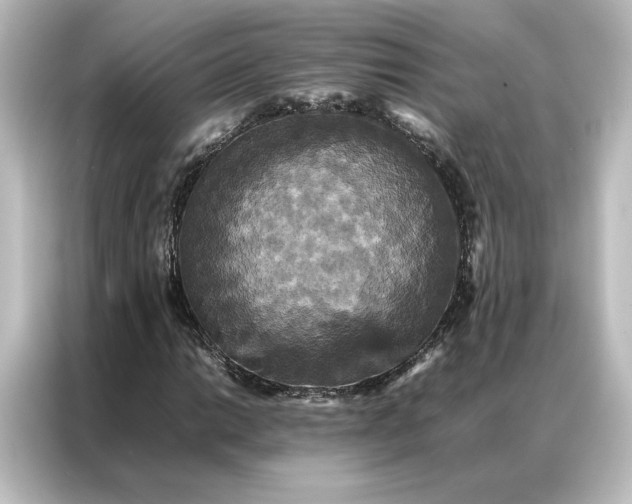 X0000087061014200705021212