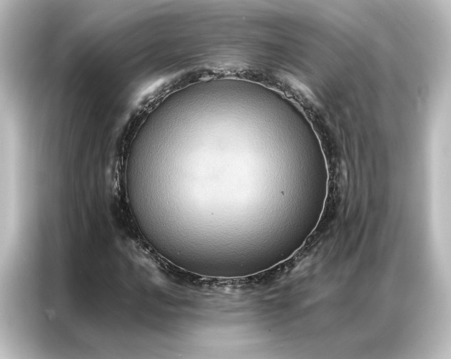 X0000087061016200705021212