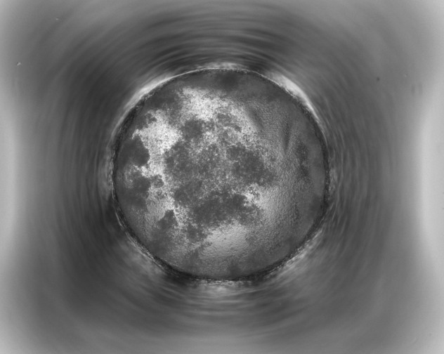 X0000087061019200705021212