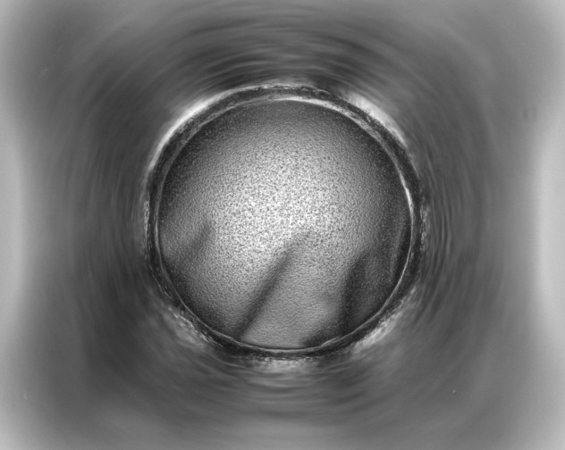 X0000087061021200705021212