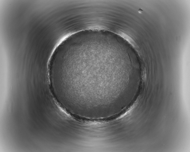 X0000087061022200705021212