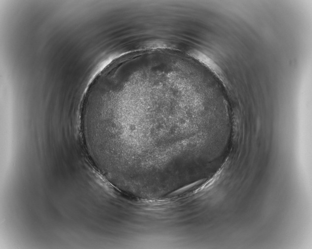 X0000087061023200705021212