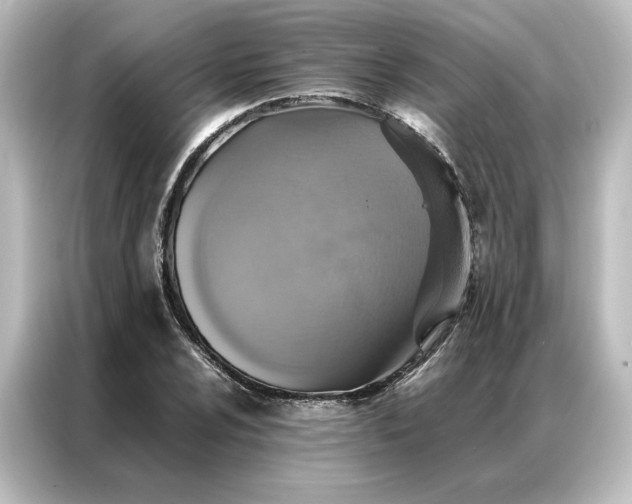 X0000087061024200705021212