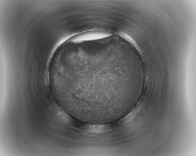 X0000087061027200705021212