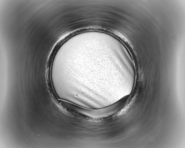 X0000087061029200705021212