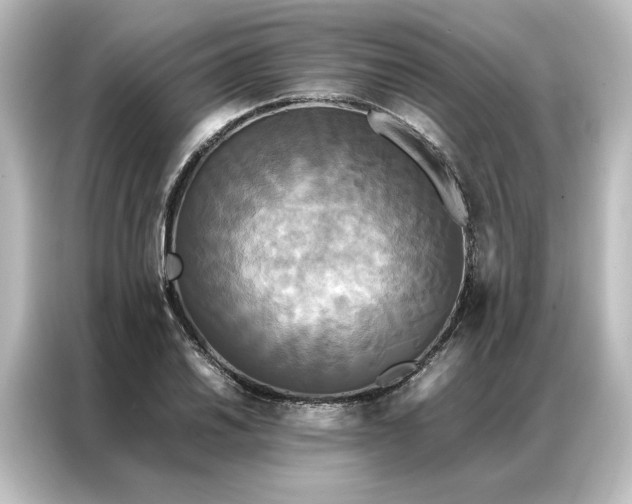 X0000087061030200705021212