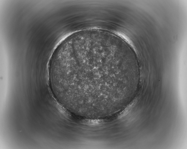 X0000087061031200705021212