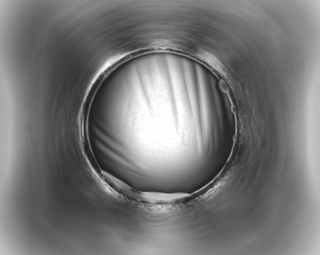 X0000087061032200705021212