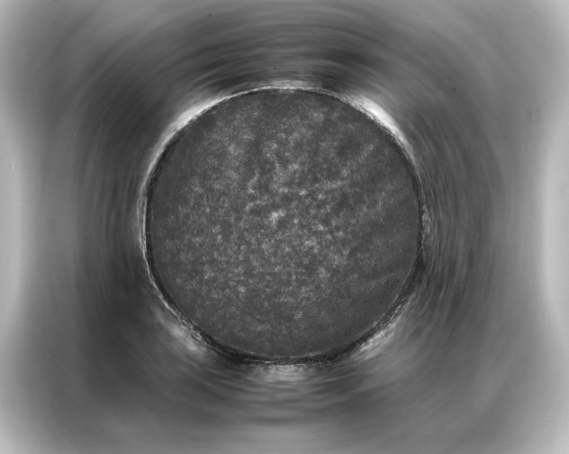 X0000087061035200705021212