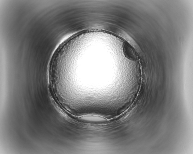 X0000087061036200705021212