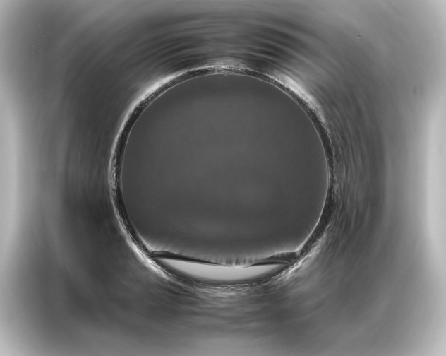 X0000087061037200705021212