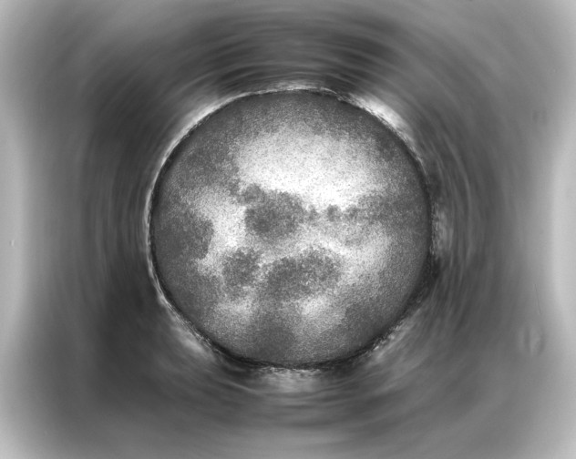 X0000087061039200705021212