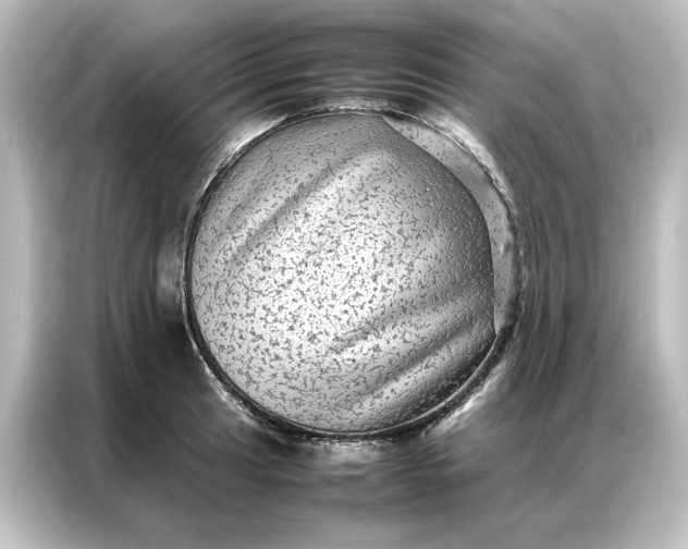 X0000087061041200705021212