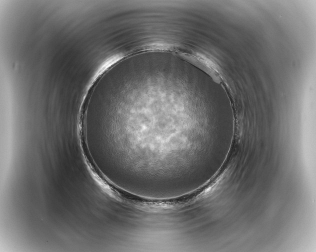 X0000087061042200705021212