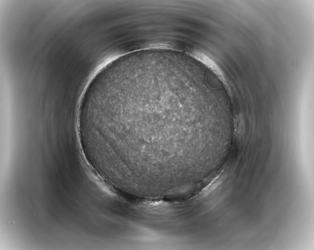 X0000087061043200705021213