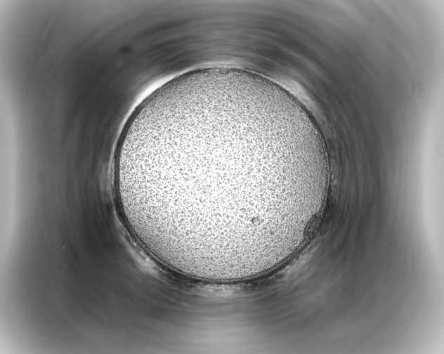 X0000087061044200705021213