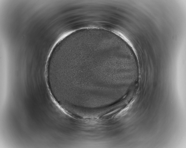 X0000087061045200705021213