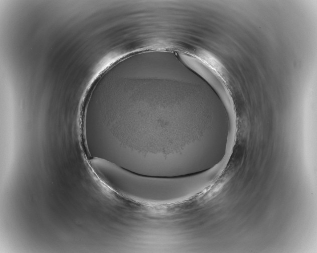 X0000087061046200705021213