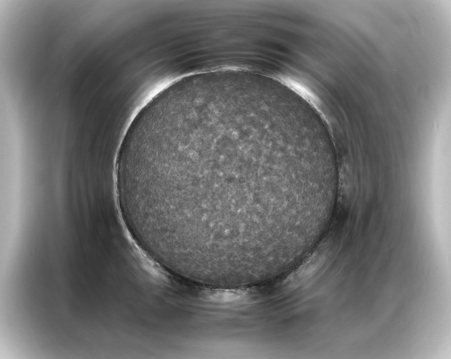 X0000087061047200705021213